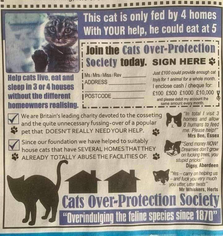 Let+the+cats+have+options.