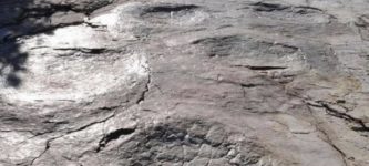 Dinosaur+footprints+in+France