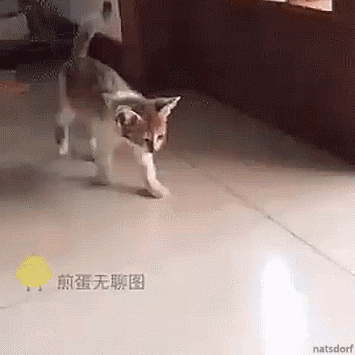 When+you%26%238217%3Bve+had+a+rough+day