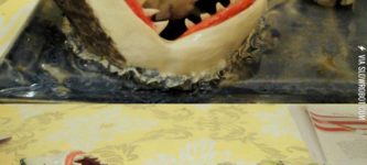 The+shark+sushi+plate.