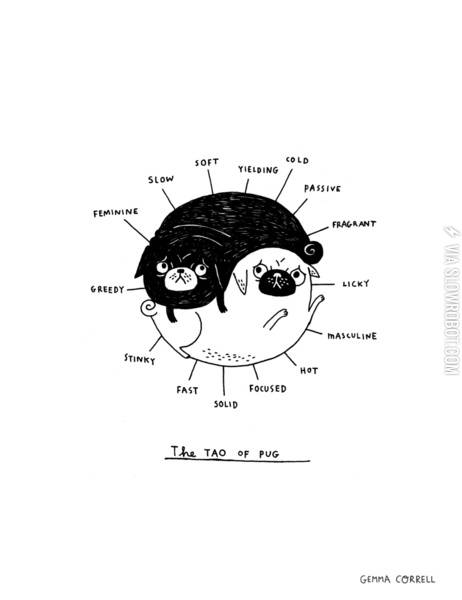 The+Tao+of+Pug.