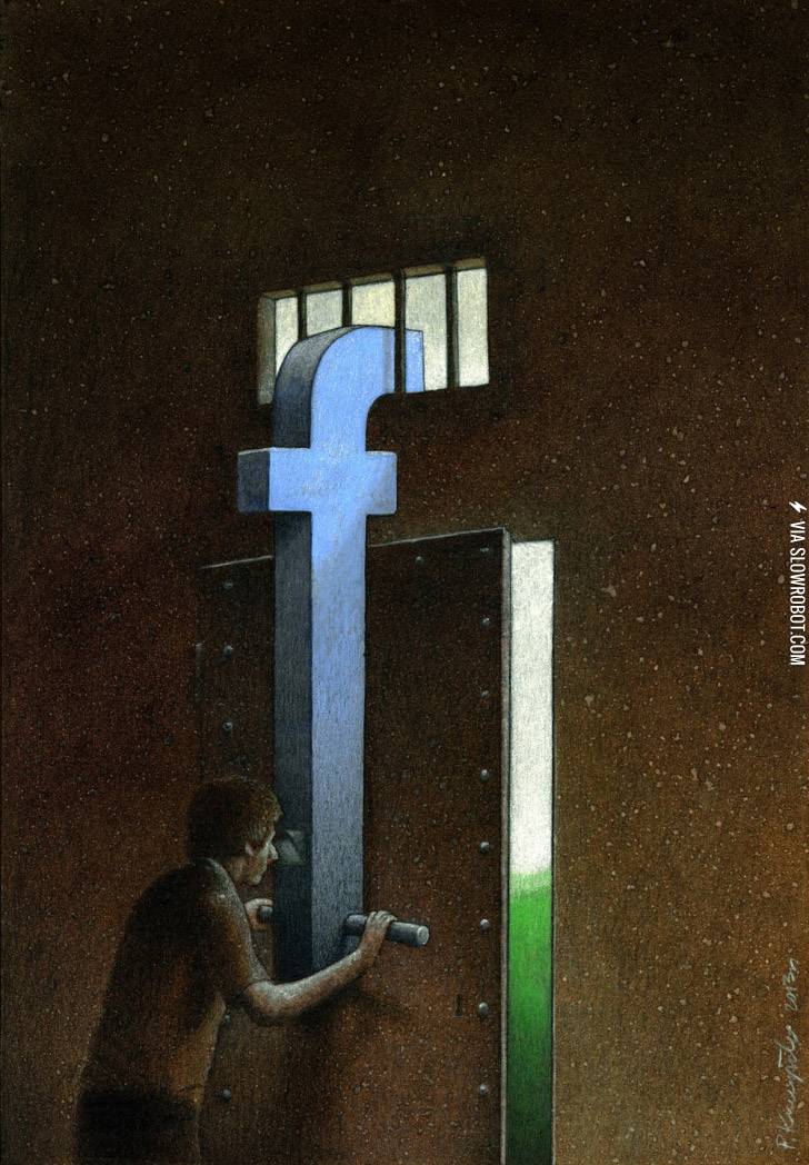 The+typical+Facebook+user.