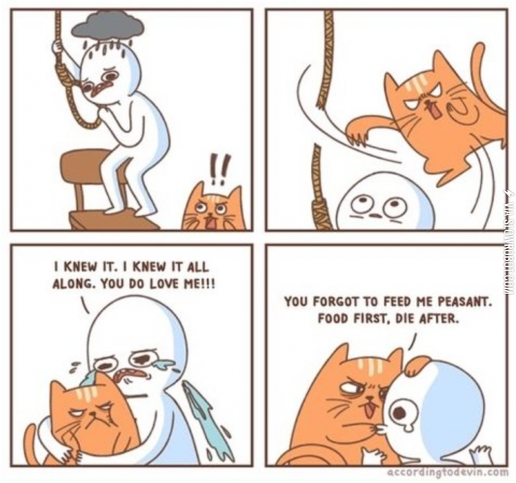 They+love+playing+with+our+emotions%26%238230%3B