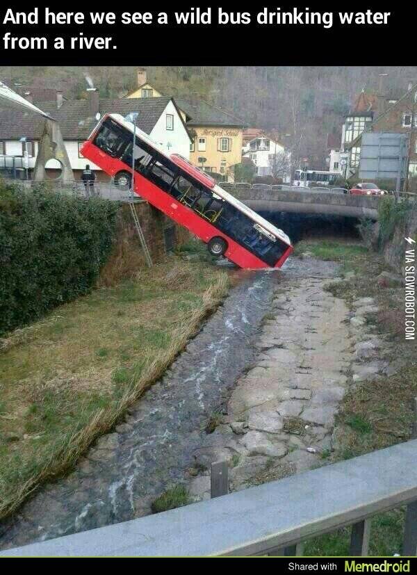 Shhh%2C+it%26%238217%3Bs+drinking.