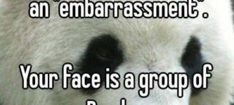 Your+face+is+a+group+of+pandas