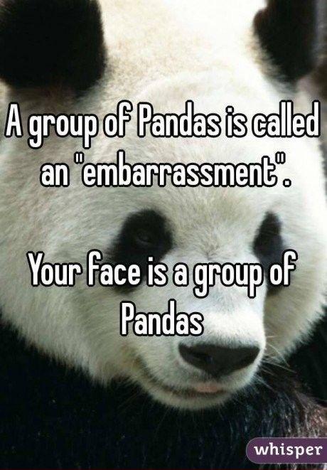 Your+face+is+a+group+of+pandas