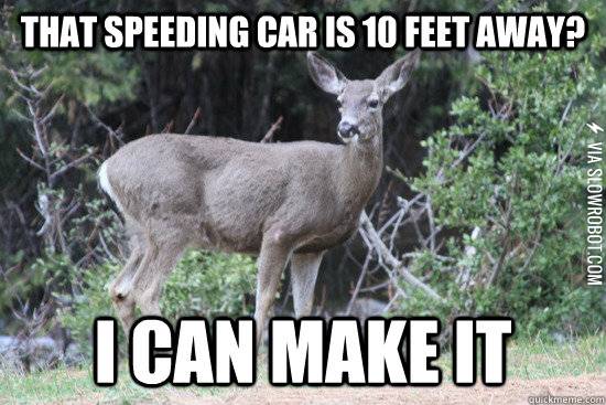 Deer+logic.