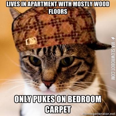 Scumbag+cats%26%238230%3B