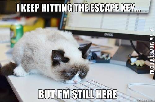 The+escape+key+is+broken%26%238230%3B