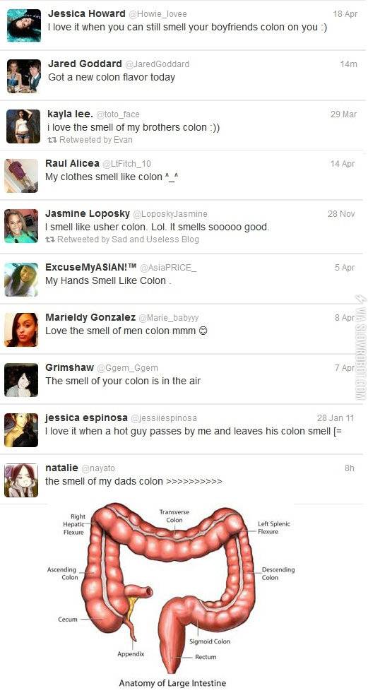 Ah%26%238230%3Bthe+smell+of+a+man%26%238217%3Bs+colon%26%238230%3B