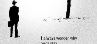 I+always+wonder+why%26%238230%3B