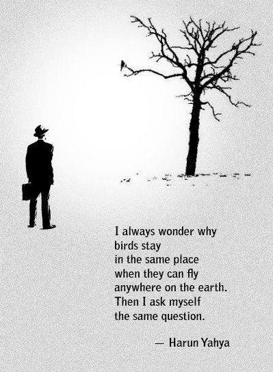 I+always+wonder+why%26%238230%3B