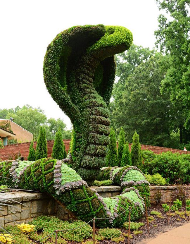 Cobra+topiary