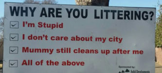 Reasons+For+Littering