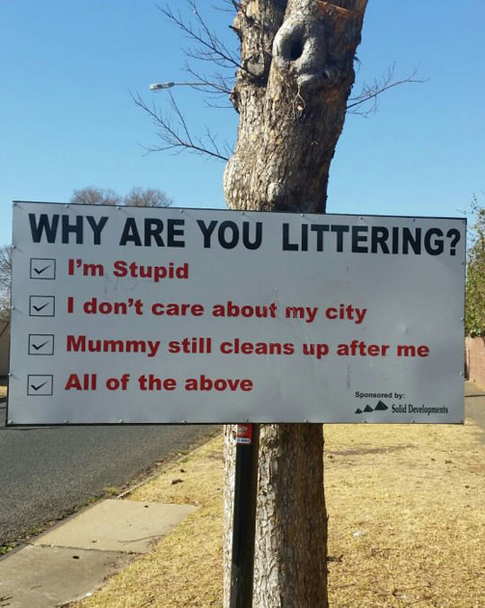 Reasons+For+Littering