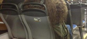 Just+Harry+and+Hagrid+on+a+bus