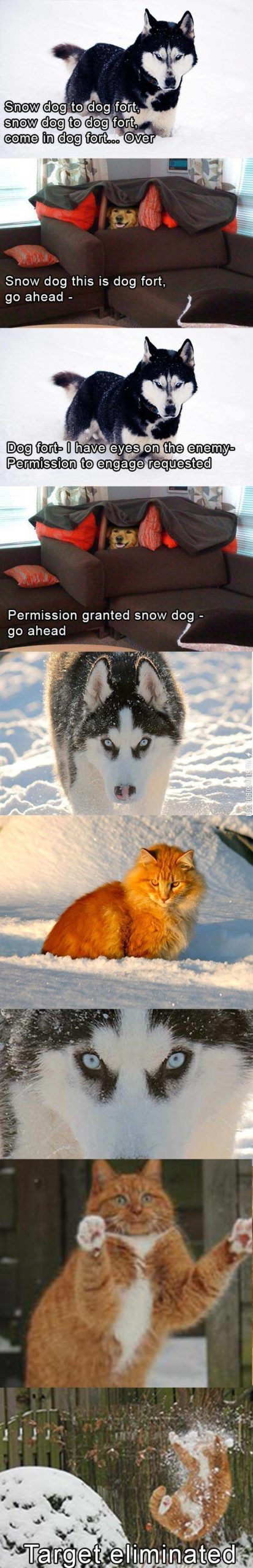 Snow+Dog+to+Dog+Fort%26%238230%3B+Over.