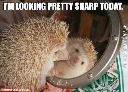 I%26%238217%3Bm+looking+pretty+sharp+today.