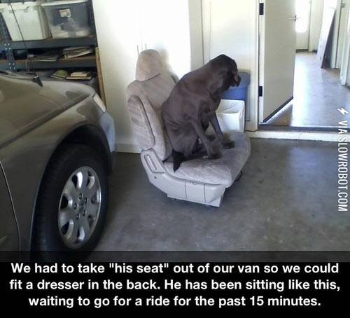 A+dog%26%238217%3Bs+life.