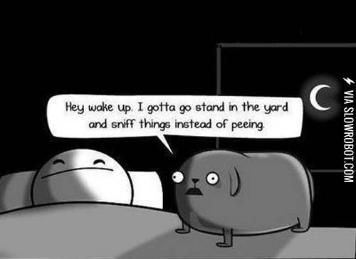 A+dog%26%238217%3Bs+life.