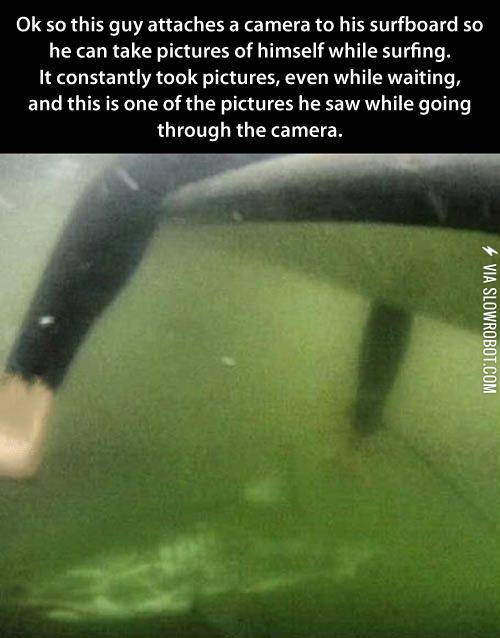 Why+I+will+never+go+surfing.