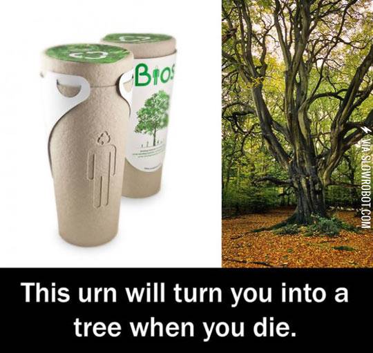 This+urn+will+turn+you+into+a+tree+when+you+die.