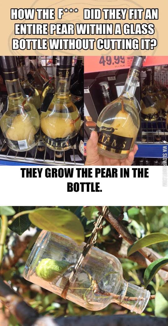A+pear+in+a+bottle.