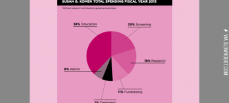 Susan+G.+Komen+post+perspective%2C+there+are+things+other+than+research%26%238230%3B