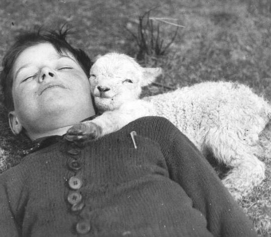 Kid+And+Baby+Goat%2C+Circa+1940