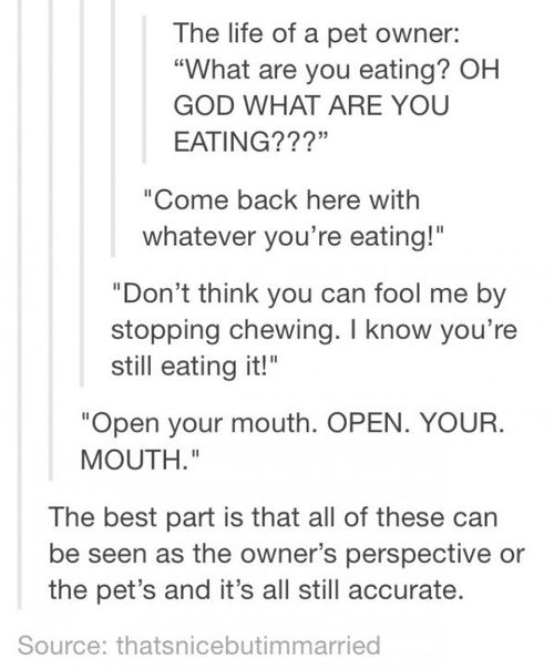 What+are+you+eating%3F