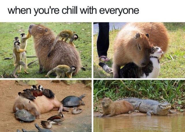 Me%2C+in+high+school