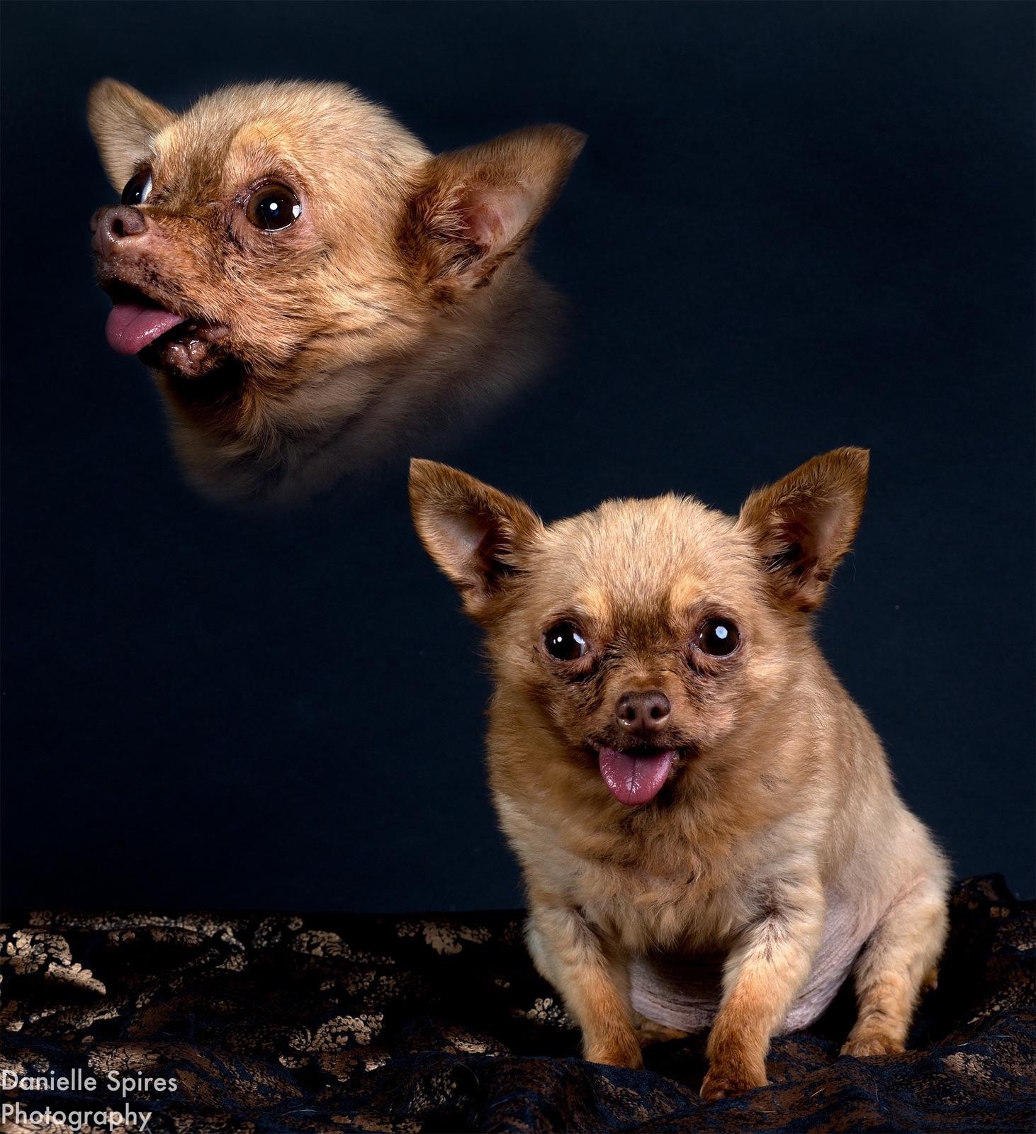 Held+a+piece+of+cheese+by+the+camera+%F0%9F%A7%80