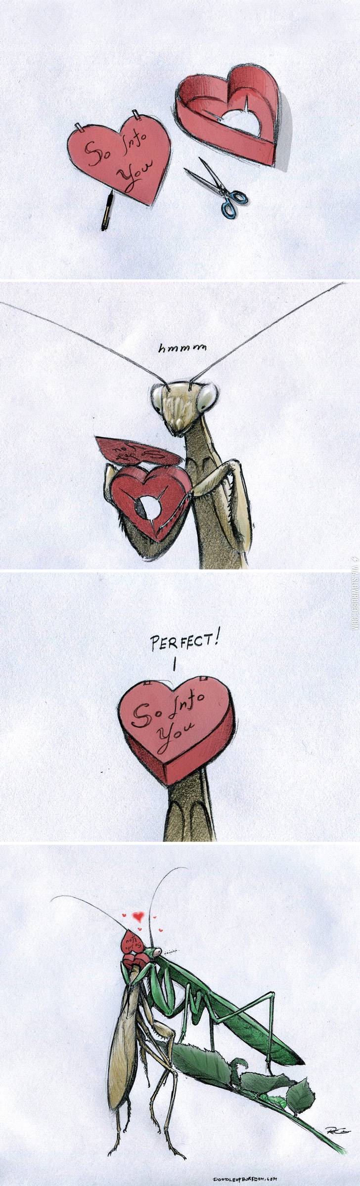 Valentine%26%238217%3Bs+Day+as+a+praying+mantis.