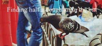 Just+Pigeon+Things