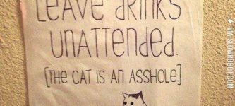Cats+are+jerks+at+parties.