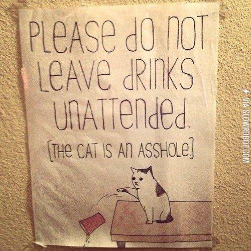Cats+are+jerks+at+parties.