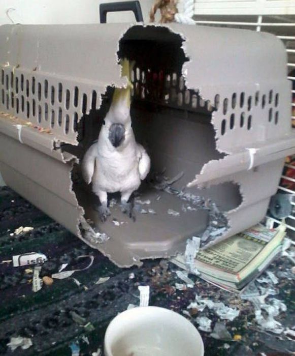 HEEERE%26%238217%3BS+POLLY%21%21