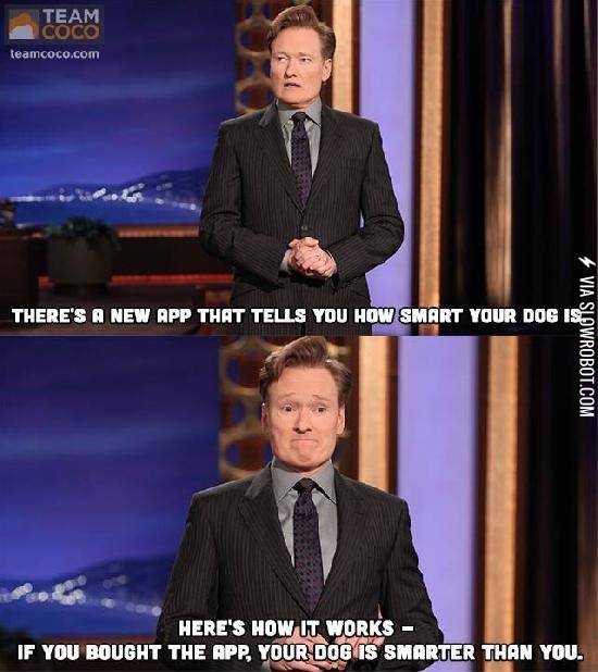 How+smart+is+your+dog%3F