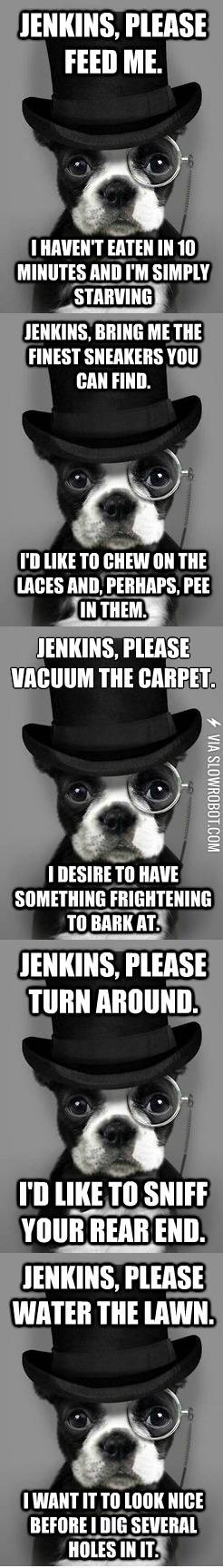 A+Dog%26%238217%3Bs+Life