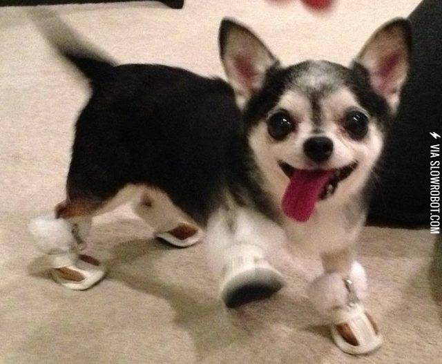 He+really+likes+his+new+boots.