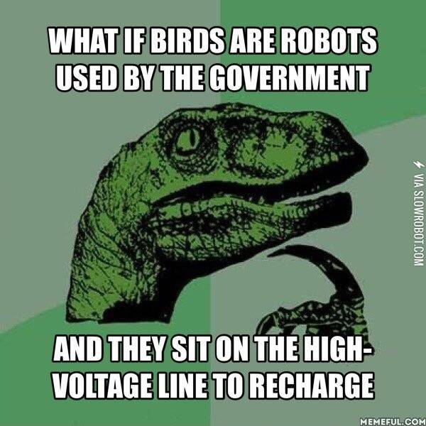 Birds+are+robots+used+by+the+government.