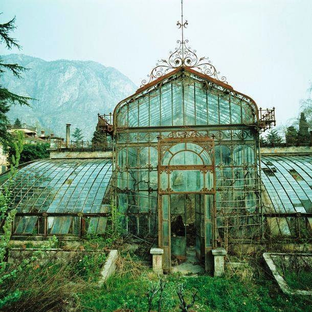 An+abandoned+greenhouse
