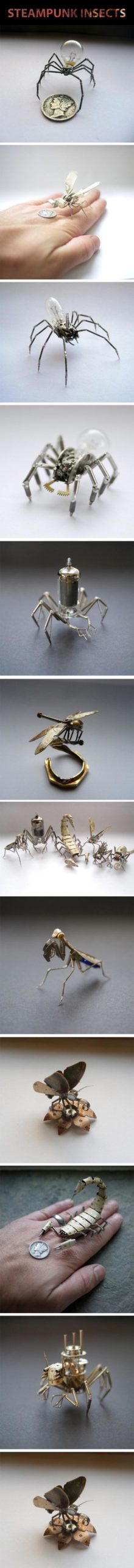 Steampunk+insects