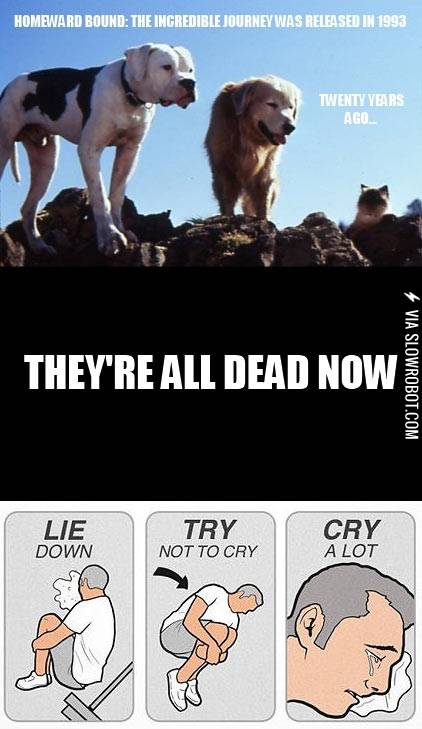 The+truth+about+Homeward+Bound.