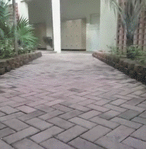 Valentines+Day+for+a+lot+of+us