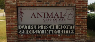 Local+Animal+Hospital+Puns