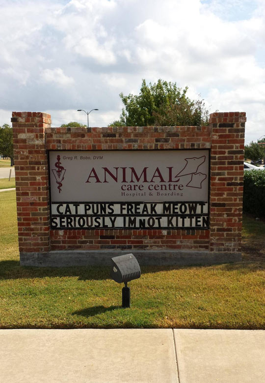 Local+Animal+Hospital+Puns