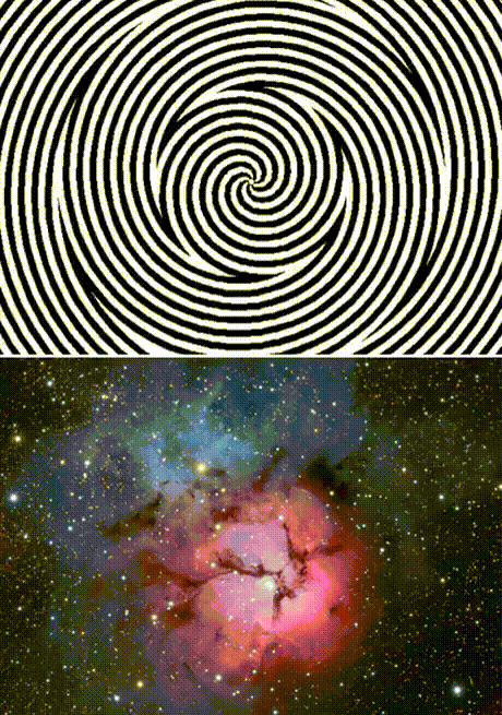 Stare+at+the+gif+for+15+seconds%2C+then+the+pic