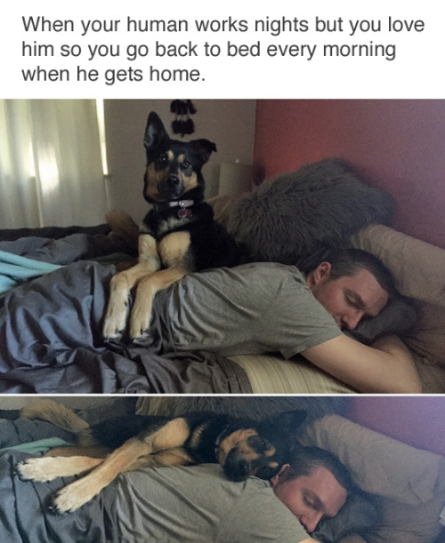 Found+the+good+pupper