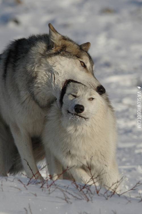 You+taste+delicious.